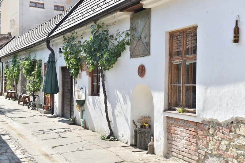 Modra: Private wine tasting guided by winery owner - Getting to Modra from Bratislava: plan for the ride