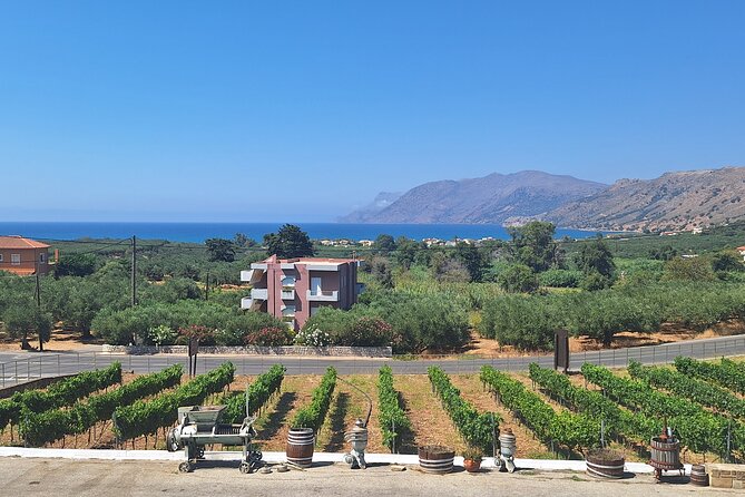 Monastery, Elafonissi and Winery Tour from Chania - The Chania drive: air-conditioned comfort on winding roads
