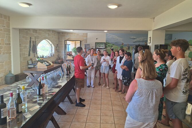 Monastery, Elafonissi and Winery Tour from Chania - Who should book this tour from Chania?