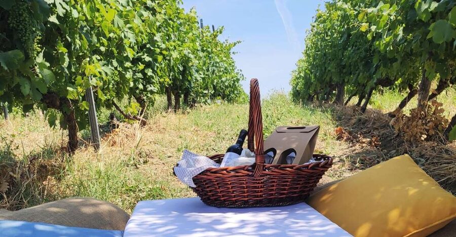 Monferrato: Garetto Wine Estate Tour and Picnic Private - Key things I’d circle before you book