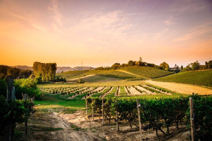 Monferrato: Garetto Wine Estate Tour and Picnic Private - How the 3 Hours Typically Flow
