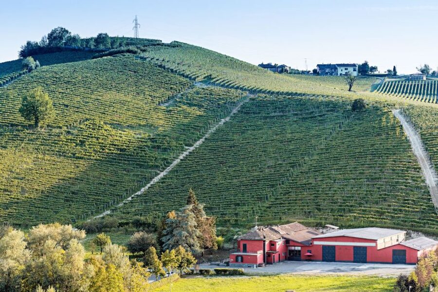 Monferrato: Garetto Wine Estate Tour and Picnic Private - Who This Tour Suits Best (and Who Might Skip It)