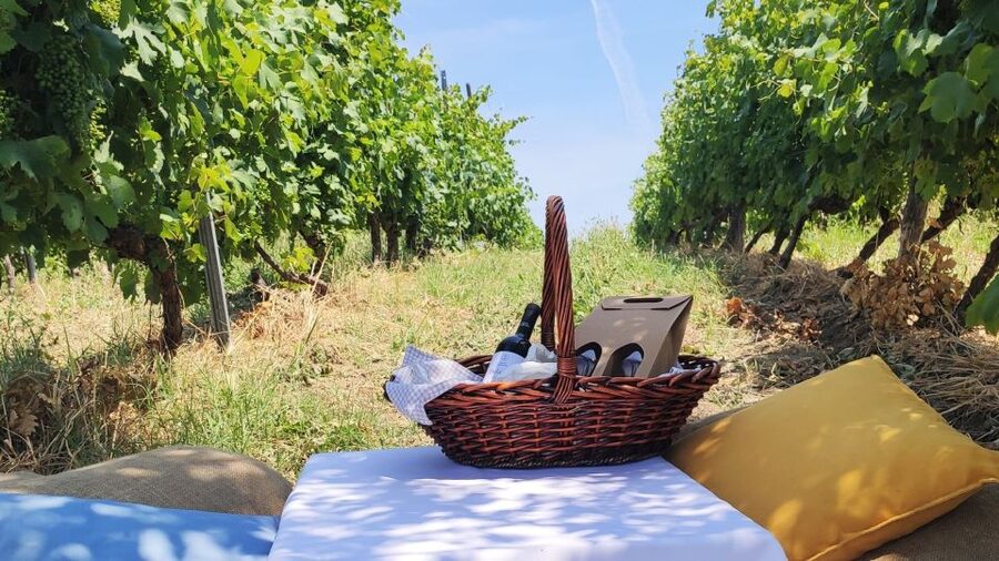 Monferrato: Garetto Wine Estate Tour and Picnic Private - Wine Tasting That Leads Into Real Food