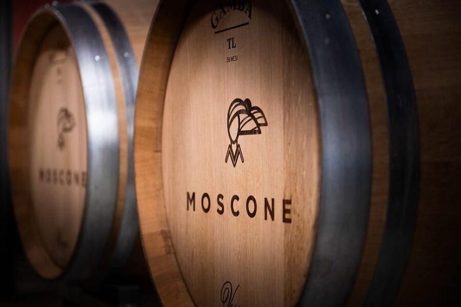 Monforte d'Alba in Langhe: Unforgettable Winery Tasting - Monforte d’Alba and Cantina Moscone: a calm Langhe stop