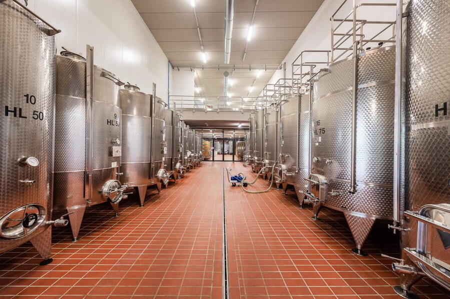 Monforte d'Alba in Langhe: Unforgettable Winery Tasting - Vineyard and views time: why the setting matters for your tasting