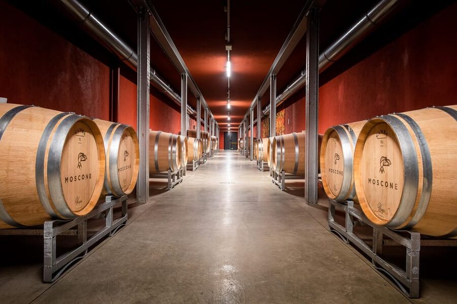 Monforte d'Alba in Langhe: Unforgettable Winery Tasting - Production techniques you’ll actually see and understand