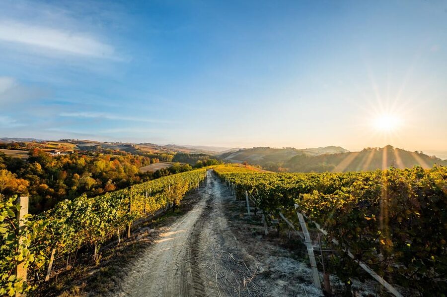 Monforte d'Alba in Langhe: Unforgettable Winery Tasting - The 3-wine tasting setup: Chardonnay, Sirì Rosè, Dolcetto d’Alba