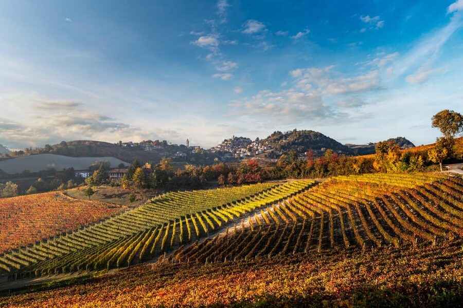 Monforte d'Alba in Langhe: Unforgettable Winery Tasting - Price vs. what you get: is $38 worth it?