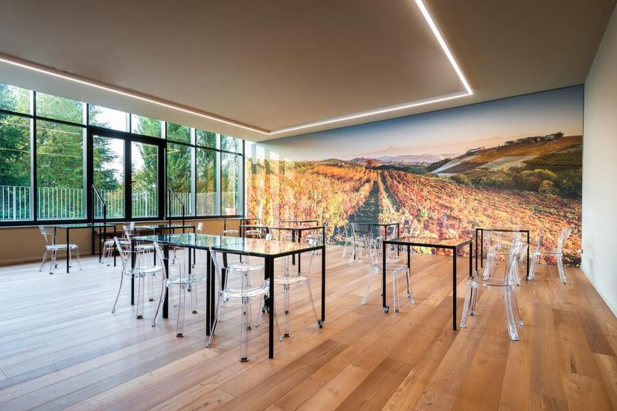 Monforte d'Alba in Langhe: Unforgettable Winery Tasting - Should you book this Cantina Moscone wine tour?