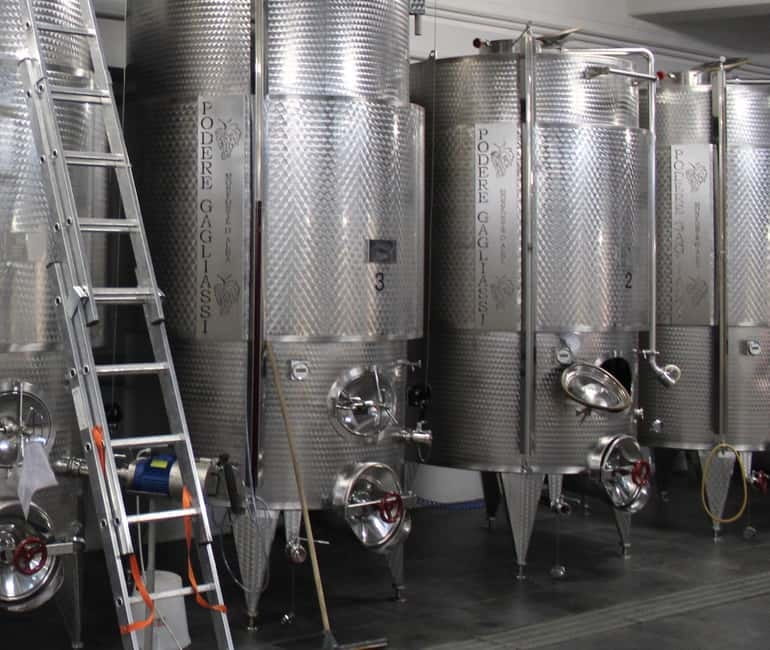 Monforte d'Alba: Wine Tasting, Cellar Visit, and Vineyard Tour - Quick Hits