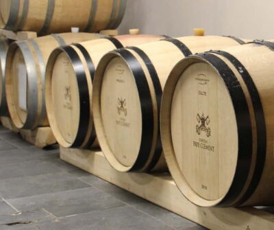 Monforte d'Alba: Wine Tasting, Cellar Visit, and Vineyard Tour - The 1.5-Hour Vineyards Walk: How Organic Practices Shape What You Taste
