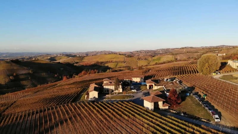 Monforte d'Alba: Wine Tasting, Cellar Visit, and Vineyard Tour - Tips to make your tasting smarter (not harder)