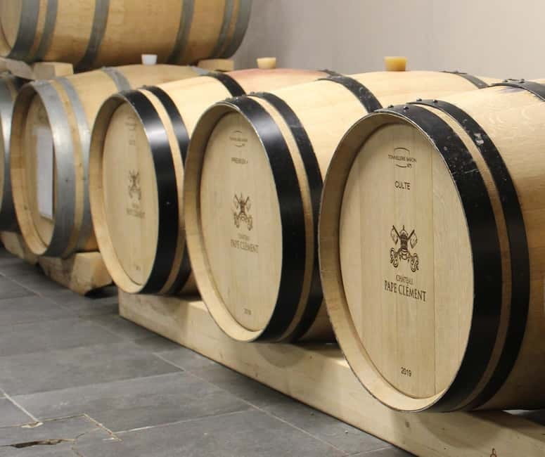 Monforte d'Alba: Wine Tasting, Cellar Visit, and Vineyard Tour - The 1.5-Hour Vineyards Walk: How Organic Practices Shape What You Taste