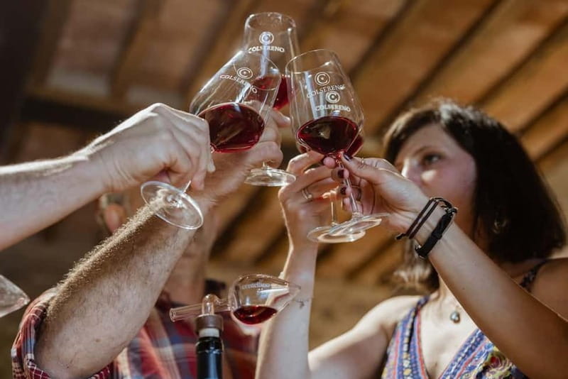 MONTALCINO : Brunello Wine Tasting with Winery Tour - From Vineyard Walk to Warm Bread and Tuscan Olive Oil