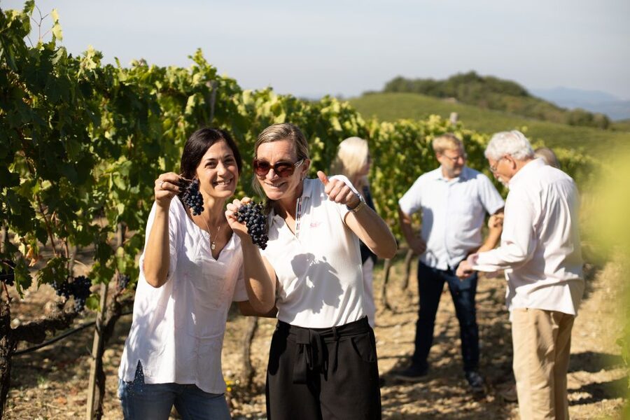 Montalcino: Guided Winery Tour and Wine Tasting - Corte Pavone in Montalcino: what the setting actually gives you