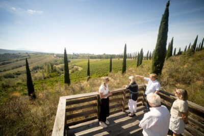Montalcino: Guided Winery Tour and Wine Tasting - 105 minutes in the right order: vineyard to processing to the cross-vaulted cellar