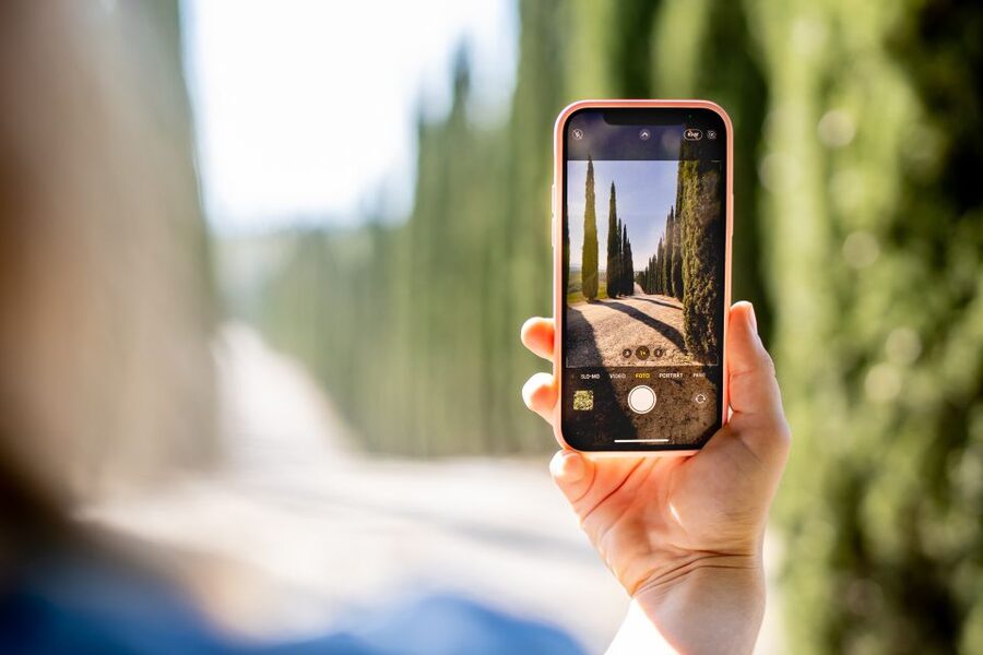 Montalcino: Guided Winery Tour and Wine Tasting - Getting there from Montalcino: don’t overthink it, just follow the cypress avenue