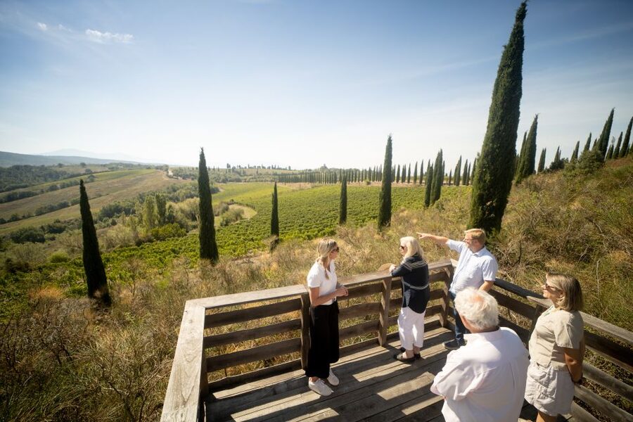 Montalcino: Guided Winery Tour and Wine Tasting - 105 minutes in the right order: vineyard to processing to the cross-vaulted cellar
