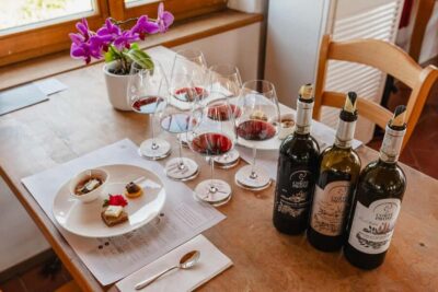 Montalcino: Guided Winery Tour & Gourmet Food Tasting - Brunello Cru vineyard walk: biodynamic viticulture you can actually see
