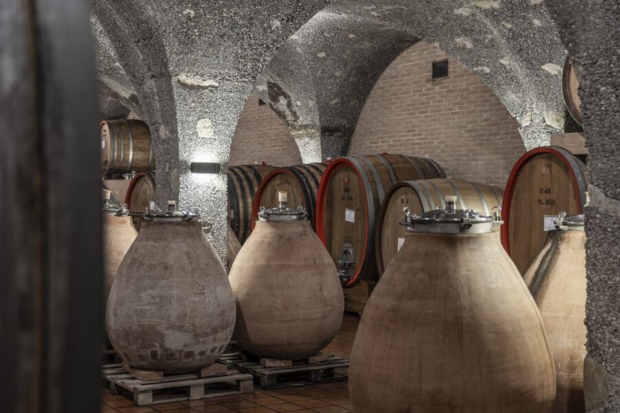 Montalcino: Guided Winery Tour & Gourmet Food Tasting - Practical tips that make the 2.5 hours feel easy