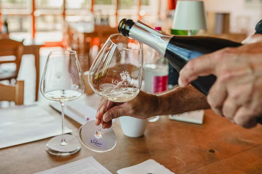 Montalcino: Guided Winery Tour & Gourmet Food Tasting - Price and value: is $94 worth it for Montalcino?