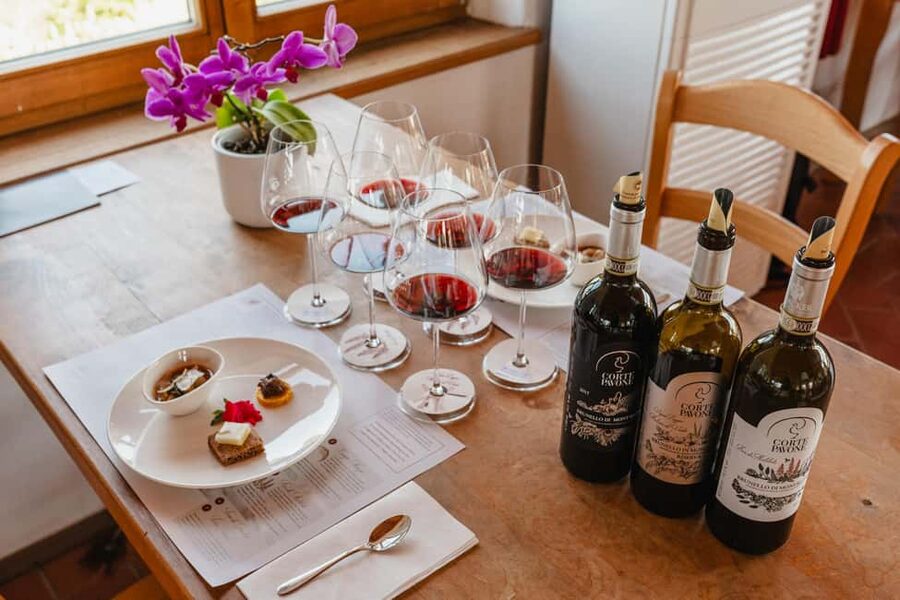 Montalcino: Guided Winery Tour & Gourmet Food Tasting - Brunello Cru vineyard walk: biodynamic viticulture you can actually see