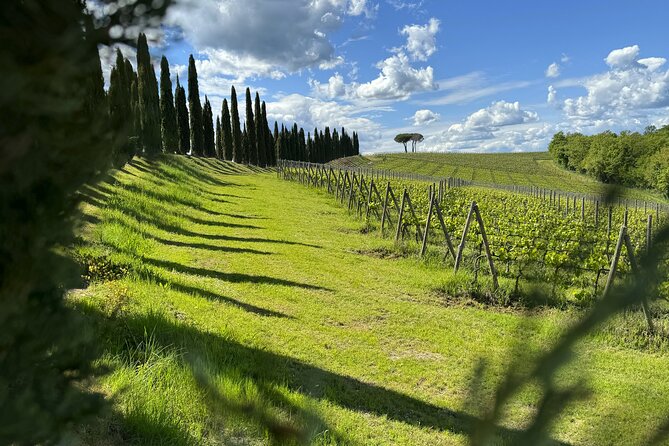 MONTALCINO Private E-Bike & Brunello Winery Experience - Private e-Bike Day in Montalcino: what you’re really paying for