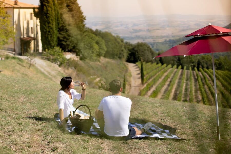 Montalcino: Vineyard Picnic with a Bottle of Wine - Key highlights to know before you go