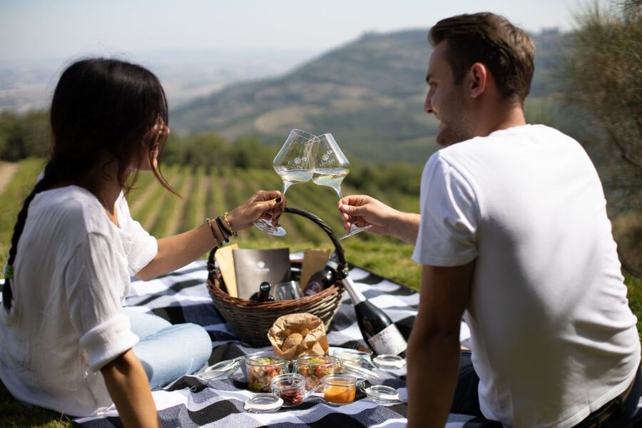 Montalcino: Vineyard Picnic with a Bottle of Wine - Getting to Corte Pavone: find the cypress avenue