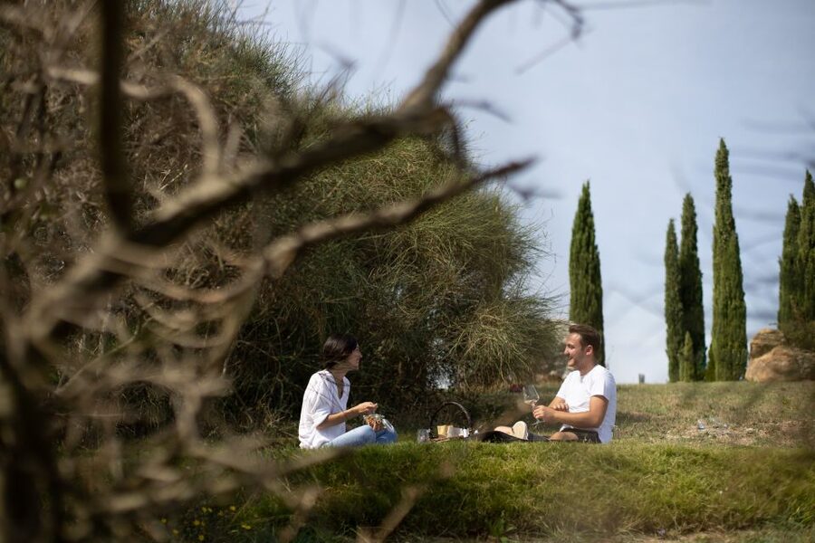 Montalcino: Vineyard Picnic with a Bottle of Wine - The picnic basket: homemade Tuscan specialties in the vines