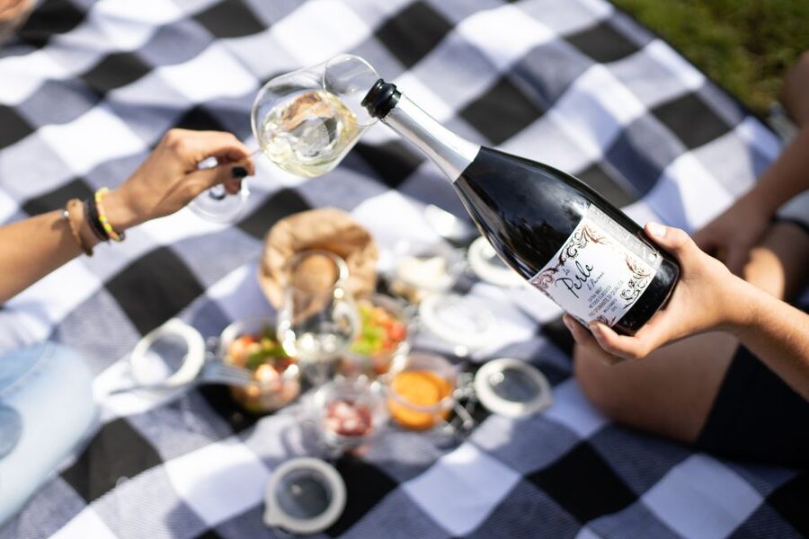 Montalcino: Vineyard Picnic with a Bottle of Wine - Wine tasting that feels like part of the day, not the whole day