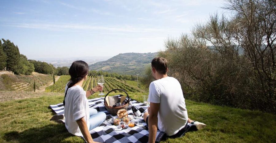 Montalcino: Vineyard Picnic with a Bottle of Wine - What you’re paying for: value of the private picnic setup