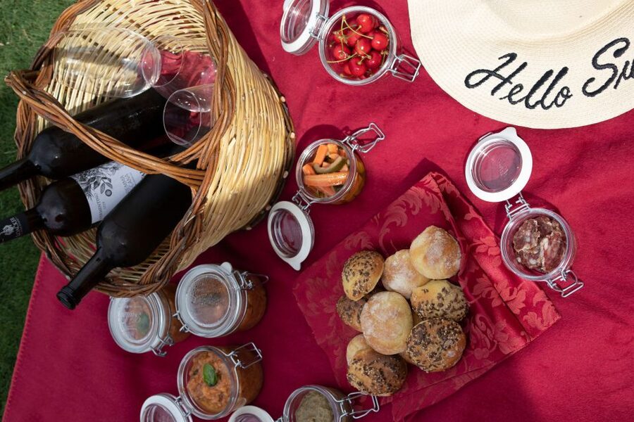 Montalcino: Vineyard Picnic with a Bottle of Wine - Quick tips to make the day smoother