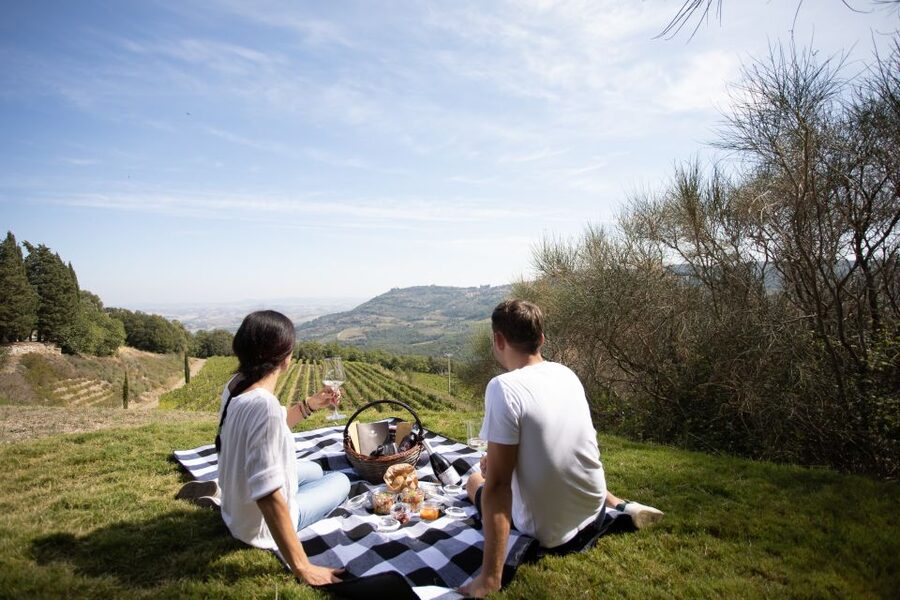 Montalcino: Vineyard Picnic with a Bottle of Wine - The guided tour: vineyards, terroir talk, and a real cellar stop