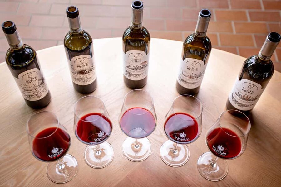 Montalcino: Winery Tour & Gourmet Brunello Vertical Tasting - Montalcino’s Brunello in four years, one glass at a time