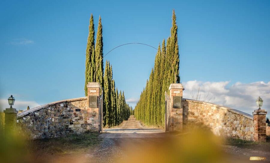 Montalcino: Winery Tour & Gourmet Brunello Vertical Tasting - Three tasting themes: Rarity, Brunello Cru, or latest-vintage Brunello