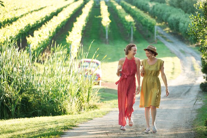 Montalto Vineyard: Mornington Peninsula Discovery Wine Tasting and Lunch - Key Things I’d Put on Your Radar