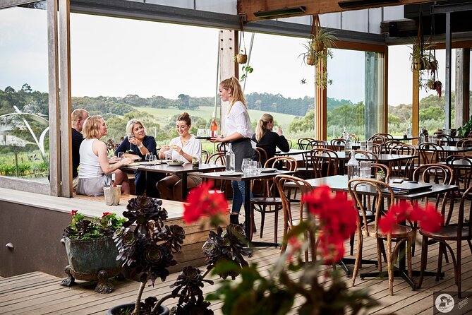 Montalto Vineyard: Mornington Peninsula Discovery Wine Tasting and Lunch - After Lunch: The Sculpture Garden Prize Grounds and Estate Grounds