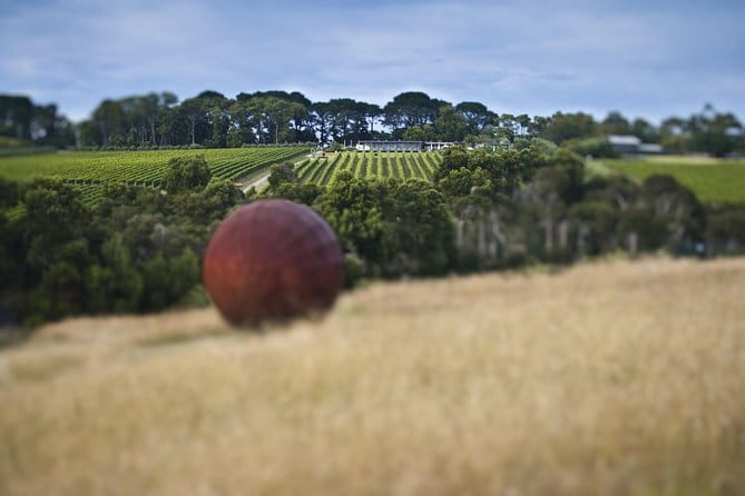 Montalto Vineyard: Mornington Peninsula Discovery Wine Tasting and Lunch - Timing, Meeting Point, and How the Small Group Changes Everything