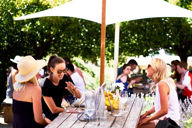 Montalto Vineyard: Mornington Peninsula Discovery Wine Tasting and Lunch - Price and Value: What $96.83 Buys You on the Peninsula