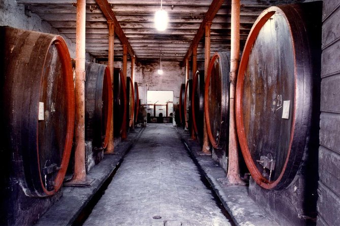 Montefalco: Historic cellar and vineyard tour with wine tasting - Key Things To Know Before You Go