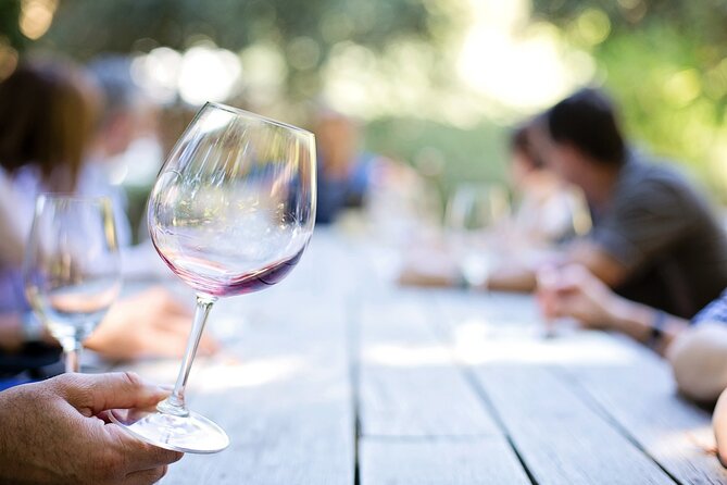 Montefalco: Historic cellar and vineyard tour with wine tasting - A Montefalco Cellar That Feels Like Family Time