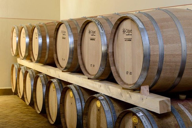 Montefalco: Winery and Oil Mill Tour in with Light Lunch - Small group tour with an English-speaking guide (like Jessica)