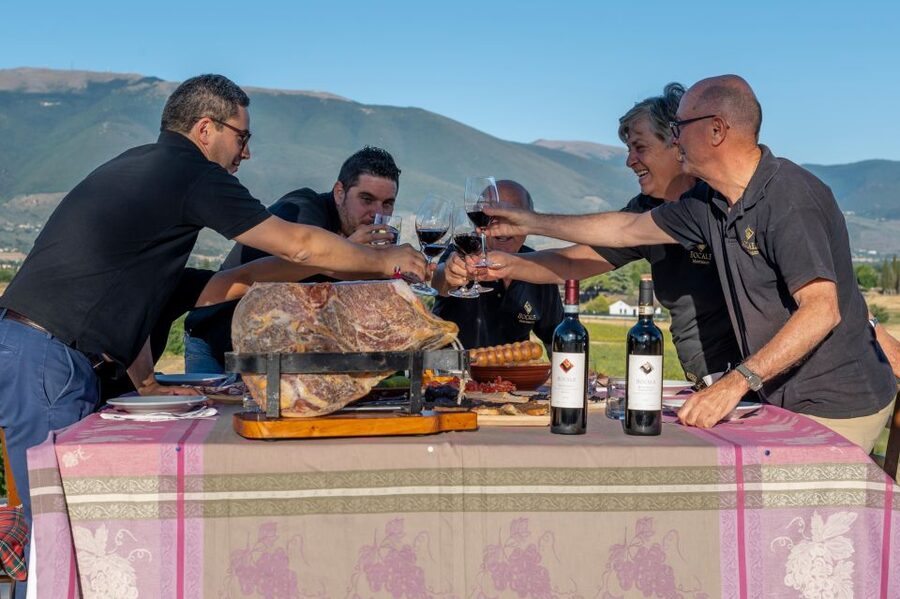Montefalco: Winery and Vineyard Tour and Private Tasting - Key things to notice before you go