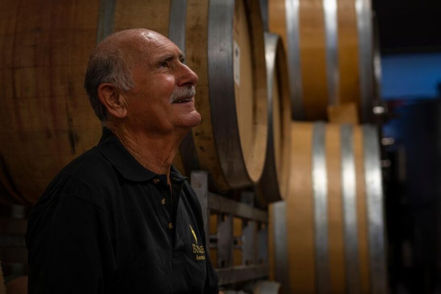 Montefalco: Winery and Vineyard Tour and Private Tasting - Who this tour fits best in Umbria