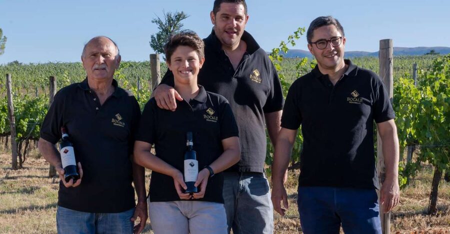 Montefalco: Winery and Vineyard Tour and Private Tasting - Vineyard walk: where the wine story becomes physical