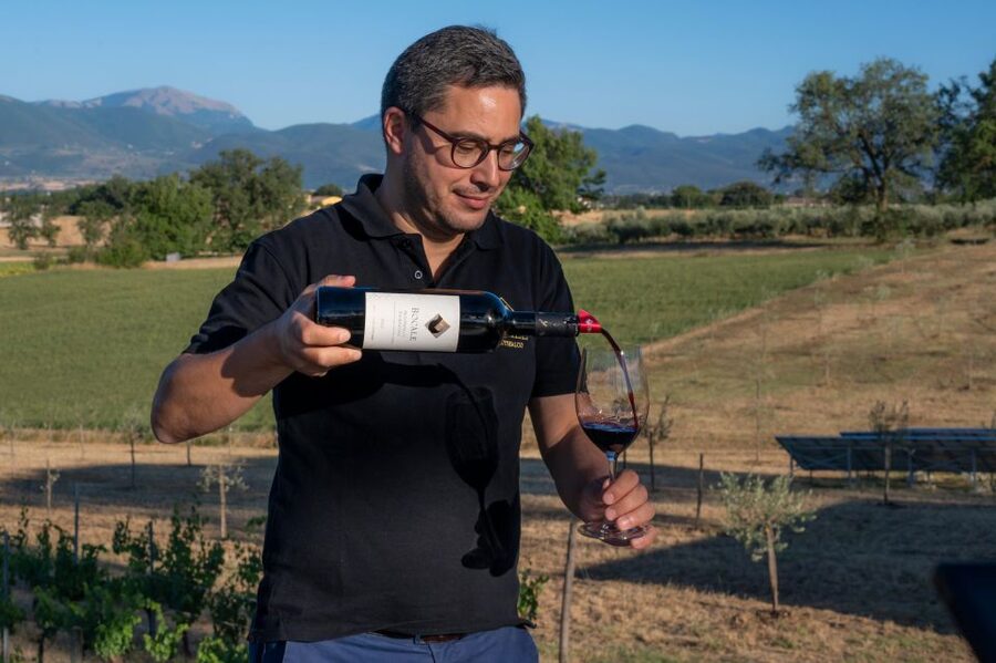 Montefalco: Winery and Vineyard Tour and Private Tasting - Food pairing that actually helps you taste