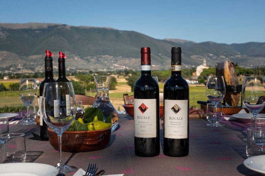 Montefalco: Winery and Vineyard Tour and Private Tasting - Montefalco wine history: the region explained without the textbook