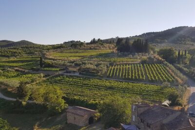 Montefioralle Winery - Tour and Wine Tasting in Chianti - Where the experience happens (and why that matters)