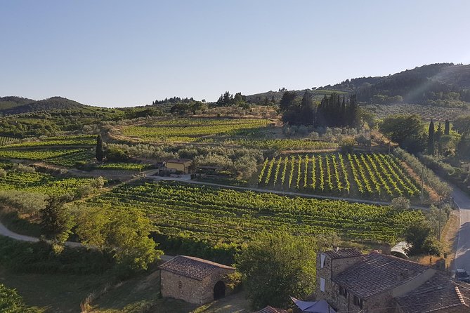 Montefioralle Winery - Tour and Wine Tasting in Chianti - Where the experience happens (and why that matters)